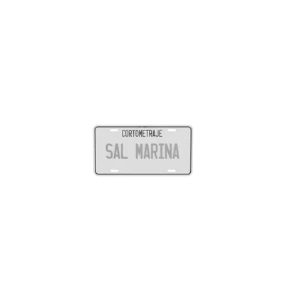 Mô hình bảng số xe trang trí (License Plate) tùy chỉnh phong cách
