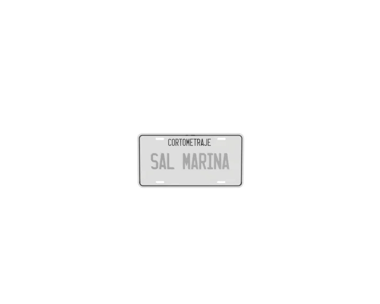 Mô hình bảng số xe trang trí (License Plate) tùy chỉnh phong cách - Image 2