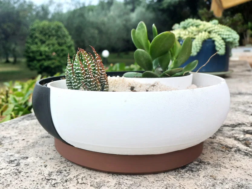 Chậu cây cảnh Âm Dương (Ying Yang Planter) trang trí nhà cửa - Image 5