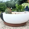 Chậu cây cảnh Âm Dương (Ying Yang Planter) trang trí nhà cửa - Thumbnail 5