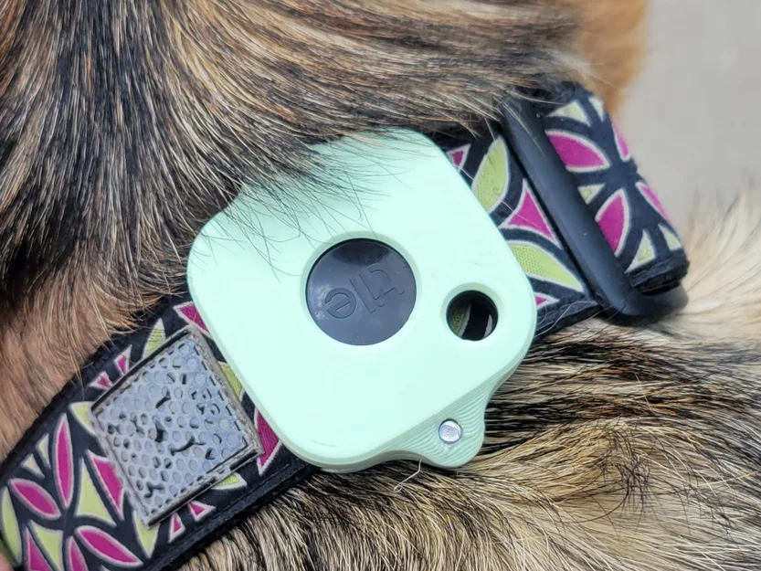 Ốp gắn vòng cổ cho Tile Mate 2022 (Tile Mate 2022 Dog Collar Case) - Image 1