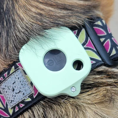 Ốp gắn vòng cổ cho Tile Mate 2022 (Tile Mate 2022 Dog Collar Case)