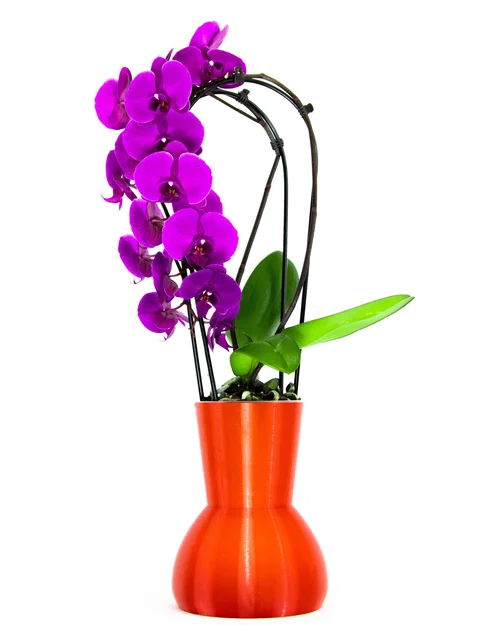 Hệ thống tưới lan tự động - 12cm - Image 1