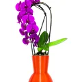 Hệ thống tưới lan tự động - 12cm - Thumbnail 1
