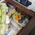 Khay Đựng Mô Hình Nhiếp Ảnh Gia Cho Board Game Redwood - Thumbnail 3