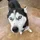 PatrickBurns_4349999