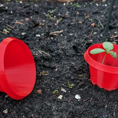 Bảo vệ khỏi ốc sên (Snail protection)