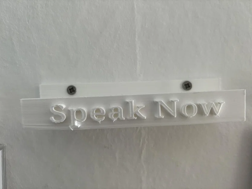 Kệ treo tường trưng bày đĩa CD Speak Now cho fan Taylor Swift - Image 1