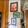 Khung hình bo tròn hữu cơ (Picture frame) - Thumbnail 5
