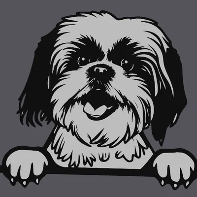 Mô hình 3D tranh treo tường chú chó Shih Tzu xinh xắn
