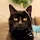 Buzz_327181