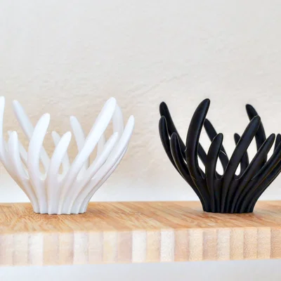 Khay Đựng Đồ Hình Hải Quỳ (Anemone Tray) Trang Trí Độc Đáo