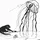 Qualle_2093622