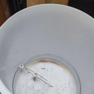 Connector vòng đỡ Kratky thủy canh cho xô 40L (Kratky hydroponic metod...)