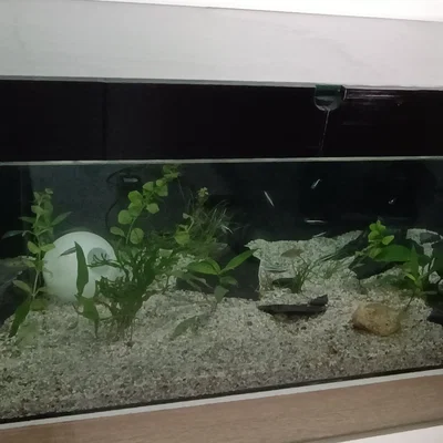 Bộ khung nắp bể cá DIY từ kính IKEA - Phụ kiện in 3D hữu ích