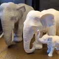 Mô hình chú voi con (Elephant Baby) in 3D dễ thương - Thumbnail 3