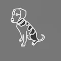 Vòng cổ Beagle (Beagle Necklace) - Thumbnail 1