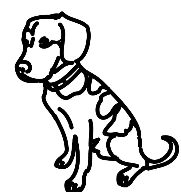 Vòng cổ Beagle (Beagle Necklace) - Image 4