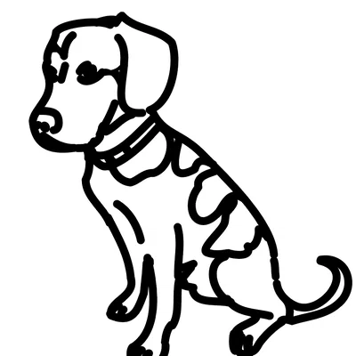 Vòng cổ Beagle (Beagle Necklace)
