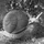 OverSoda_561989