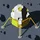 BrettHund_1516895