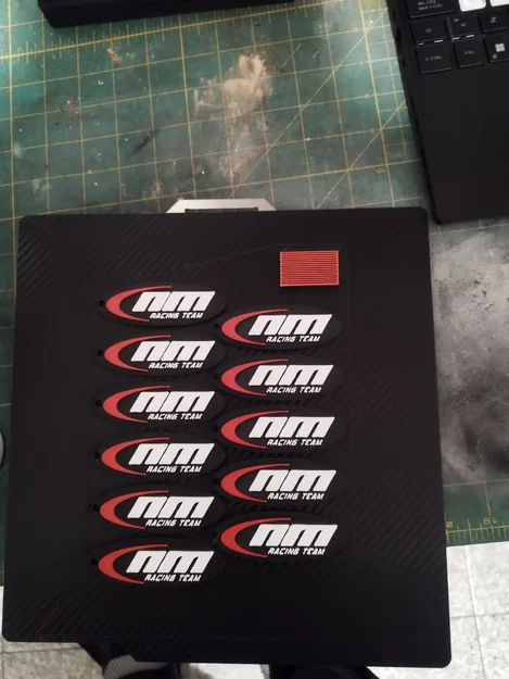 Móc khóa NM Racing Team in 3D phong cách carbon cực chất - Image 1