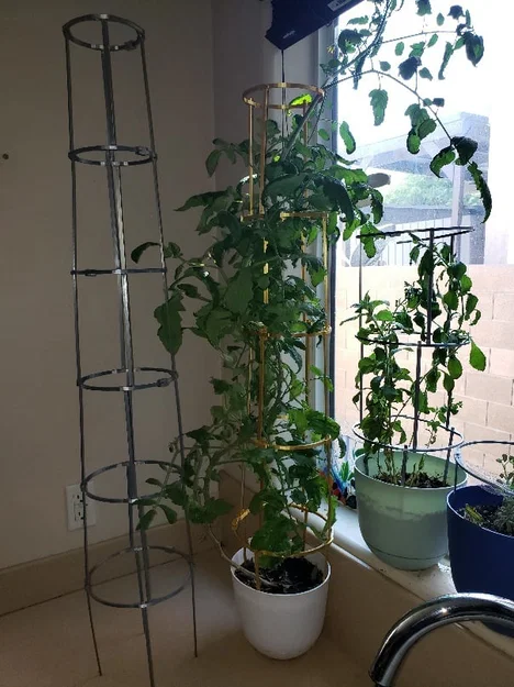 Ring-culture cà chua cho growbag + bracket canes & support cage, gắn tưới tự động - Image 1