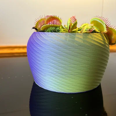Chậu trồng cây / Flower pot / Blumentopf 016