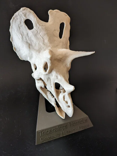 Chân đế trưng bày mô hình Triceratops - Thiết kế chuyên nghiệp - Image 1