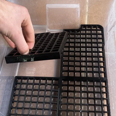 Samla box 11L - mứi đáy (grid)