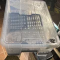 Samla box 11L - mứi đáy (grid) - Thumbnail 7