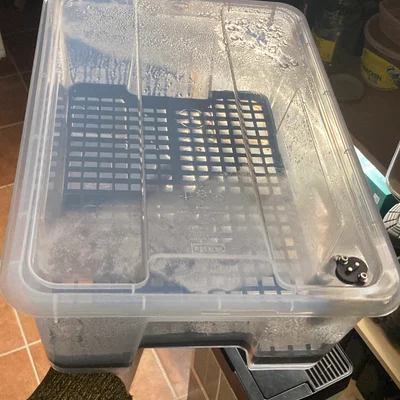 Samla box 11L - mứi đáy (grid) 7