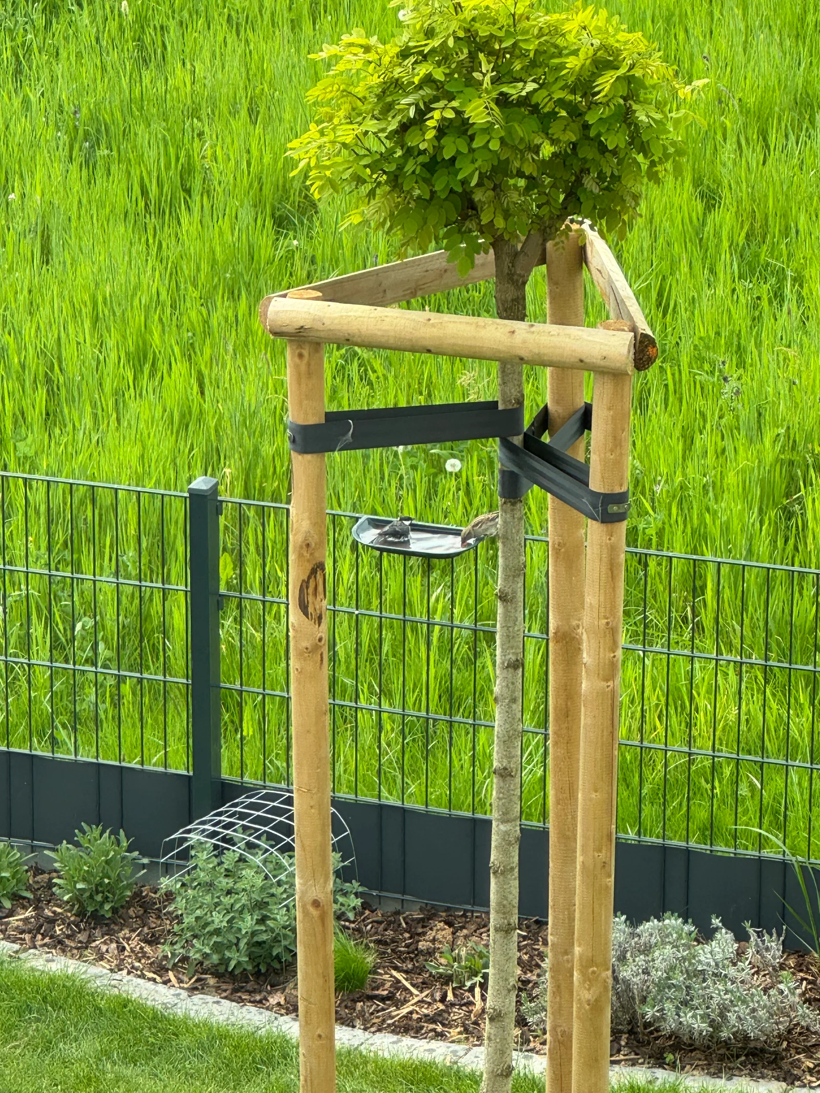 Khay tắm chim (Vogeltränke) gắn hàng rào thép 1