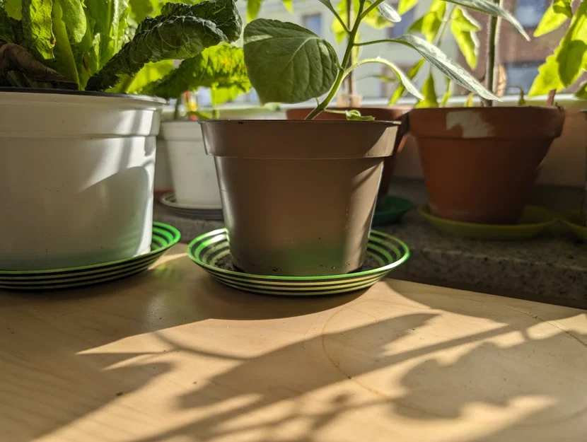 Miếng lót chậu cây đơn giản (Simple flower pot coasters) - Image 3