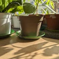 Miếng lót chậu cây đơn giản (Simple flower pot coasters) - Thumbnail 3