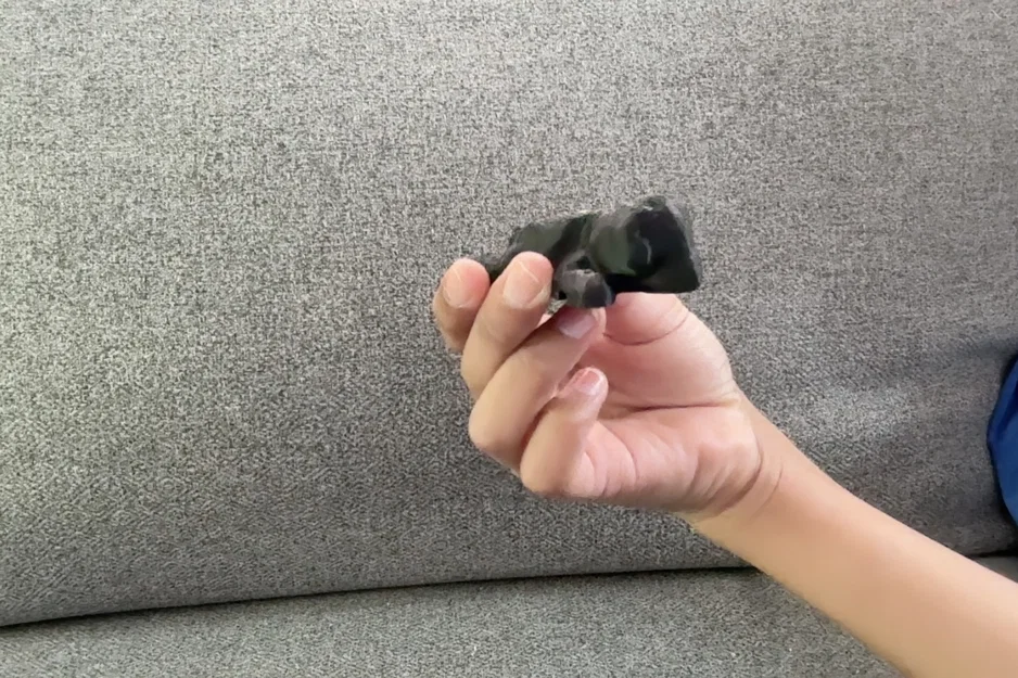 Mô hình 3D chú chó nhỏ xinh xắn để trang trí bàn làm việc - Image 1