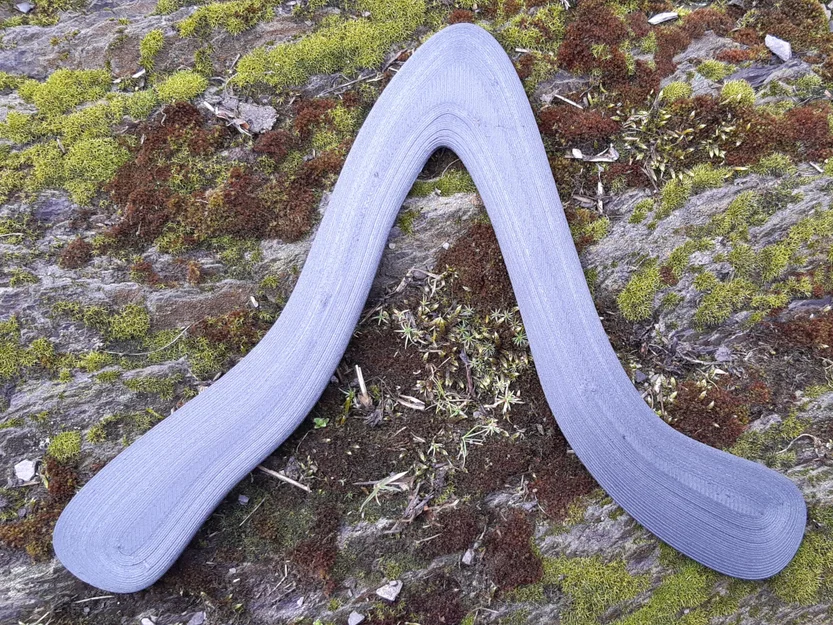 Fuzzilicious Boomerang - Image 1
