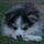 HarryJudeHol_4144609