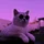 MarekS_4189215