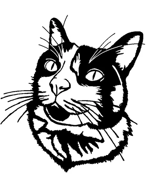 Tranh treo tường mèo 2D (2D cat wallart) - Image 2
