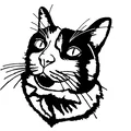 Tranh treo tường mèo 2D (2D cat wallart) - Thumbnail 2