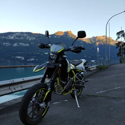 Ốp bảo vệ gắp sau SWM SM 125 R (Swingarm Protectors) - File in 3D
