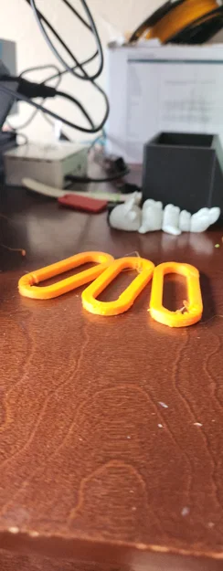 Calibration Carabiner (Móc Carabiner Hiệu Chuẩn) - Image 1