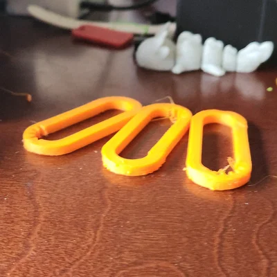 Calibration Carabiner (Móc Carabiner Hiệu Chuẩn)