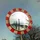 Mobyflavour_188418