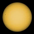 Sun Spotter - Gắn Hot Shoe - Thumbnail 2