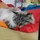 SQ9UKL_1660138