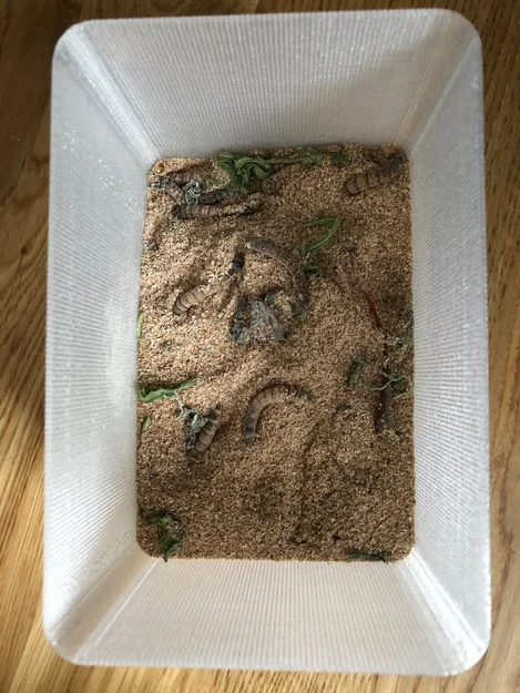 Can of Worms (Hộp đựng ấu trùng) - Image 2