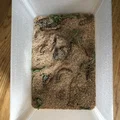 Can of Worms (Hộp đựng ấu trùng) - Thumbnail 2