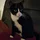 NicholeKnc_15943